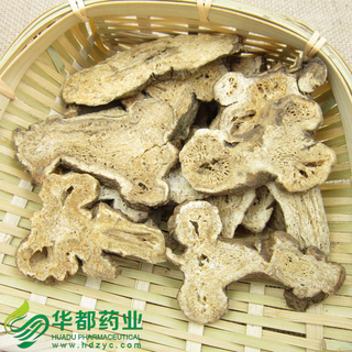 Atractylodes Macrocephala Koidz / 白术(安徽) / Bai Zhu