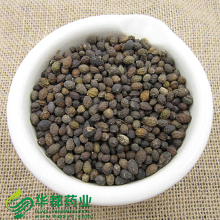 Fructus Bruceae / 鸦胆子 / Ya Dan Zi