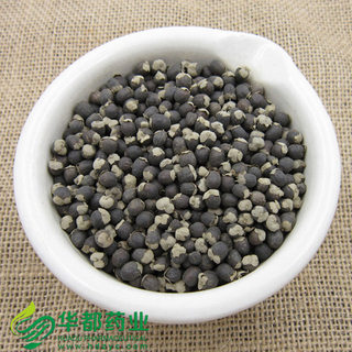 Simpleleaf Shrub Chastetree Fruit / 蔓荆子 / Man Jing Zi