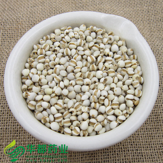 Coix / 薏苡仁 / Yi Yi Ren