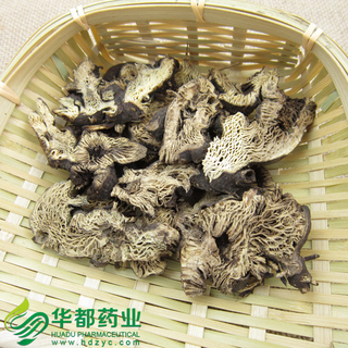 Skunk Bugbane Rhizome / 升麻 / Sheng Ma