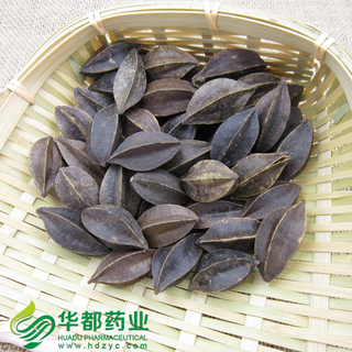 Fructus Quisqualis / 使君子 / She Jun Zi