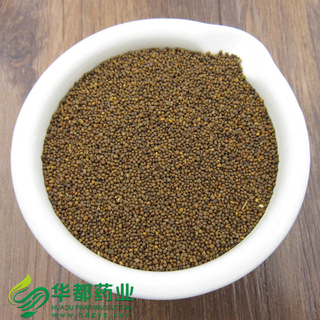 Chinese Dodder Seed / 菟丝子 / Tu Si Zi