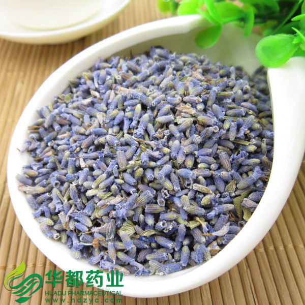 Lavender / 薰衣草 / Xun Yi Cao