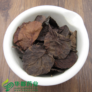 Herba Pyrolae / 鹿衔草 / Lu Xian Cao
