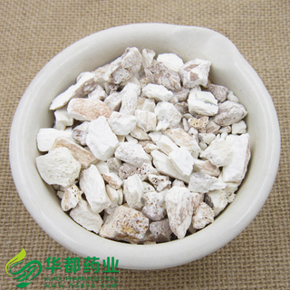 Dragon's Bone / 龙骨 / Long Gu