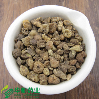 Pseudobulb of Appendiculate Cremastra / 山慈菇 / Shan Ci Gu