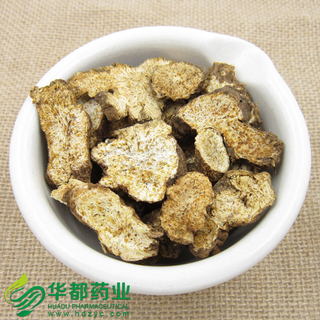 Atractylodes / 苍术 / Cang Zhu