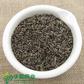 Great Burdock Fruit / 牛蒡子 / Niu Bang Zi