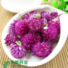 Flower of Globeamaranth / 千日红 / Qian Ri Hong