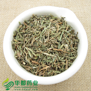 Common Knotgrass Herb / 萹蓄 / Bian Xu