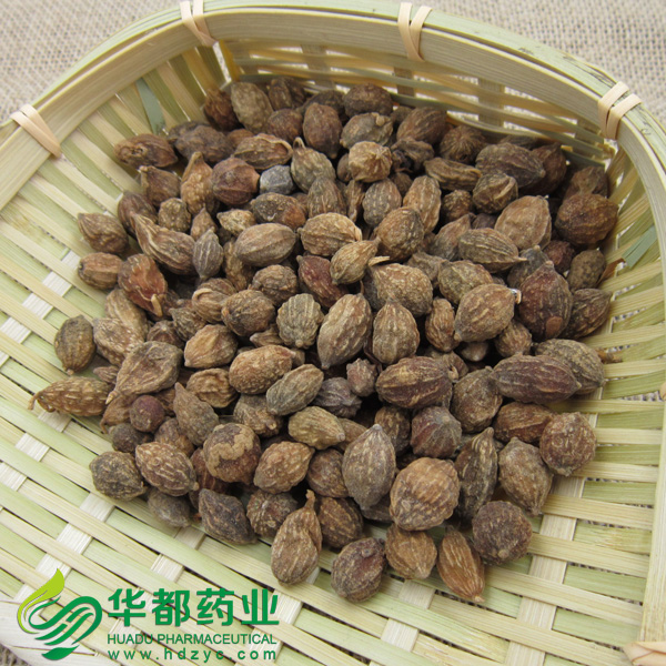 Alpinia Fruits / 益智仁 / Yi Zhi Ren