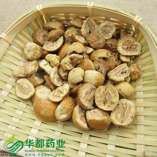 Szechwan Chinaberry Fruit / 川楝子 / Chuan Lian Zi