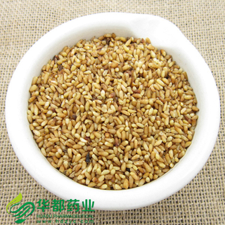 Biota Seed / 柏子仁 / Bai Zi Ren