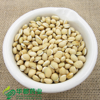 Dolichos / 白扁豆 / Bai Bian Dou
