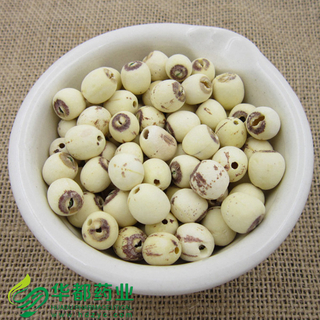 Lotus Seed / 莲子 / Lian Zi
