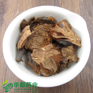 Shield Fern / 贯众 / Guan Zhong