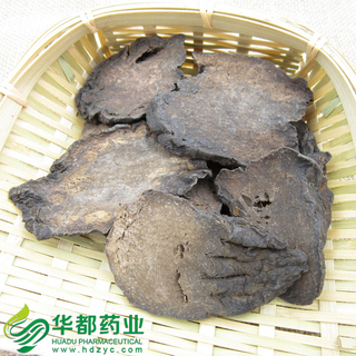 Herba Cistanches / 肉苁蓉(硬) / Rou Cong Rong