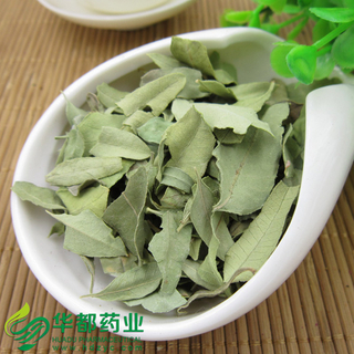 Folium Apocyni Veneti / 罗布麻 / Luo Bu Ma