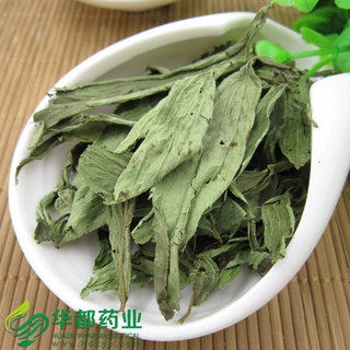Sweet Stevia / 甜叶菊 / Tian Ye Ju
