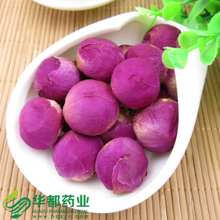 Common Peony / 芍药花 / Shao Yao Hua