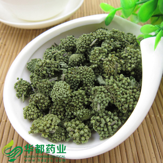 Sanchi Flower / 三七花 / San Qi Hua