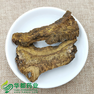 Spenceria Ramalana / 大黄(马蹄黄) / Da Huang (Ma Ti Huang)
