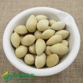 Semen Ginkgo / 白果 / Bai Guo