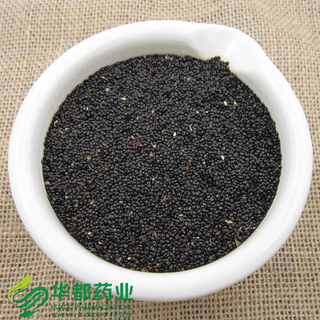Feather Cockscomb Seed / 青箱子 / Qing Xiang Zi