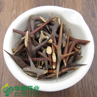 Chinese Honeylocust Spine / 皂角刺 / Zao Jiao Ci