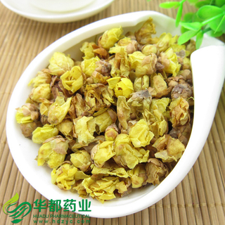 Wintersweet Flower / 腊梅花 / La Mei Hua