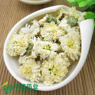 Chrysanthemum / 贡菊 / Gong Ju