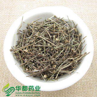 Oldenlandia / 白花蛇舌草 / Bai Hua She She Cao