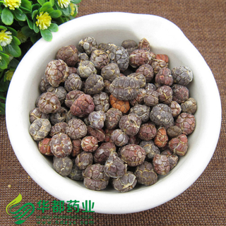 Villous Amomum Fruit / 砂仁 / Sha Ren