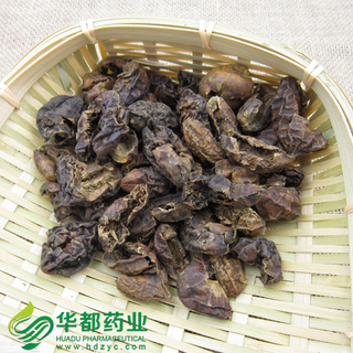 Chebulae Fructus / 诃子 / He Zi