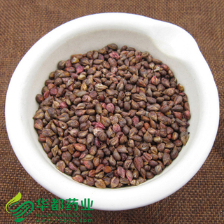 Grape Seed / 葡萄籽 / Pu Tao Zi