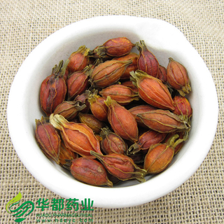 Common Gardenia Fruit / 栀子 / Zhi Zi