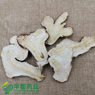 Atractylodes Macrocephala Koidz / 白术(河北) / Bai Zhu