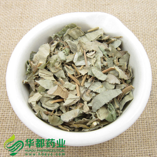Longhairy Antenoron Herb / 广金钱草 / Guang Jin Qian Cao