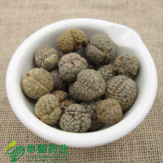 Semen Alpiniae Katsumadai / 草豆蔻 / Cao Dou Kou