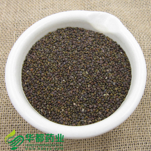 Flastem Milkvetch Seed / 沙苑子 / Sha Yuan Zi