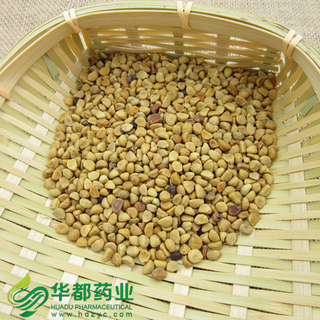 Semen Pharbitidis / 牵牛子 / Qian Niu Zi