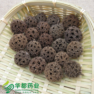 Sweetgum Fruit / 路路通 / Lu Lu Tong