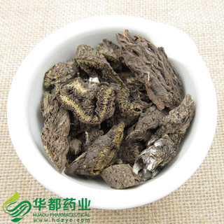 Radix Rhapontici / 漏芦 / Lou Lu