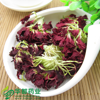 Carnation / 康仙花 / Kang Xian Hua