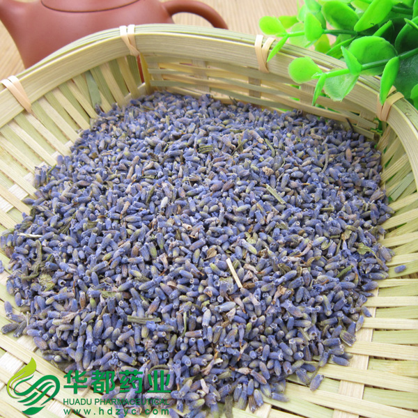 Lavender / 薰衣草 / Xun Yi Cao