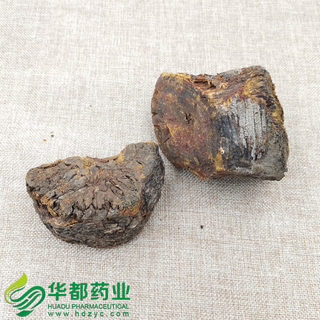 Rheum Tanguticum / 大黄(唐古特大黄) / Da Huang (Tang Gu Te Da Huang)