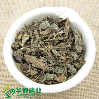 Plantain Leaf / 车前草 / Che Qian Cao