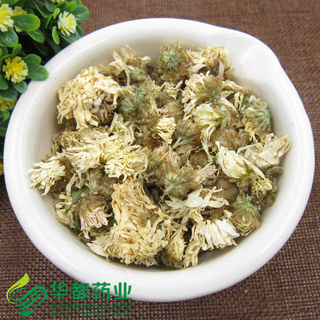 Chrysanthemum / 菊花 / Ju Hua