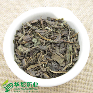 Isatis Leaf / 大青叶 / Da Qing Ye